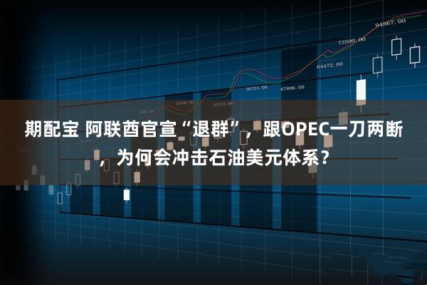 期配宝 阿联酋官宣“退群”，跟OPEC一刀两断，为何会冲击石油美元体系？